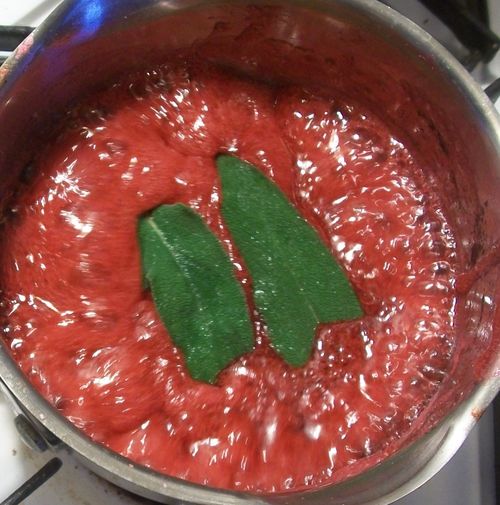 Gelé fra rød currant