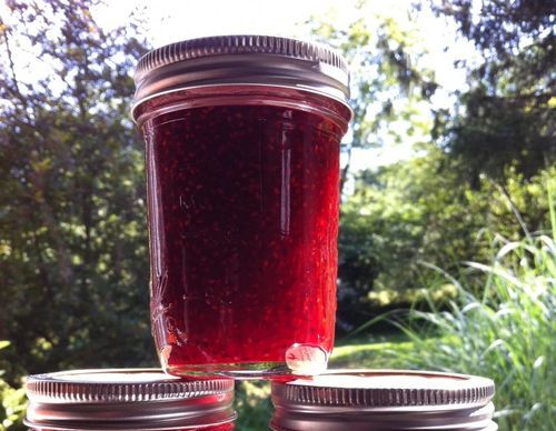 Sort currant syltetøy med bringebær