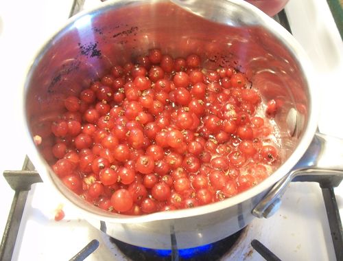 Gelé fra rød currant