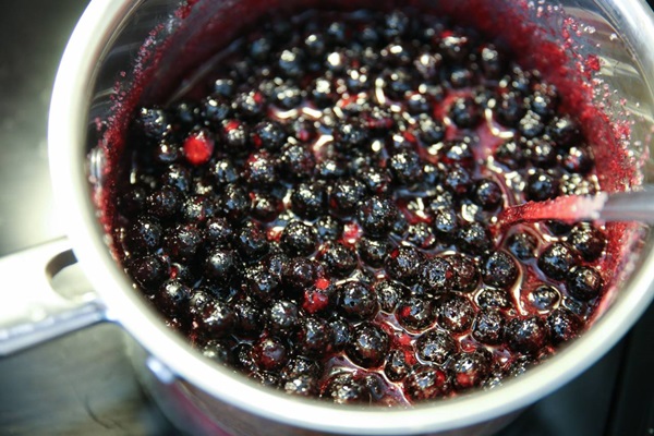 Jam av svart chokeberry