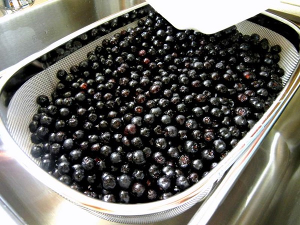 Jam av svart chokeberry