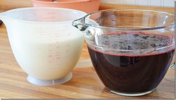 Jam av svart chokeberry