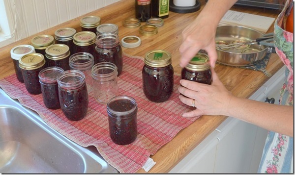 Jam av svart chokeberry