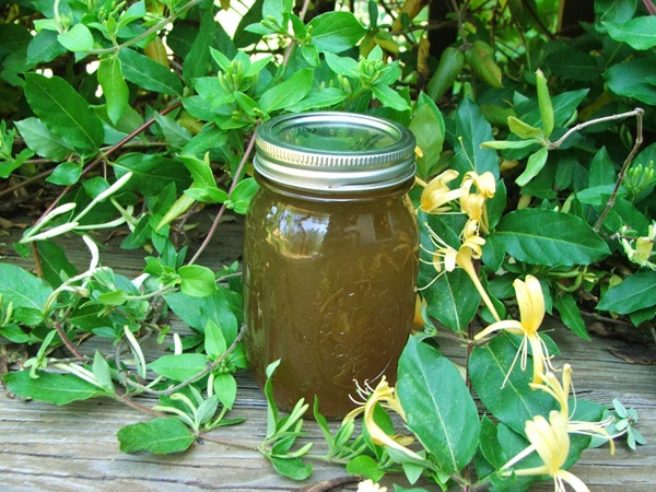 Honeysuckle syltetøy