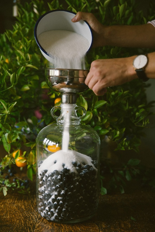Hjemmelaget vin fra chokeberry