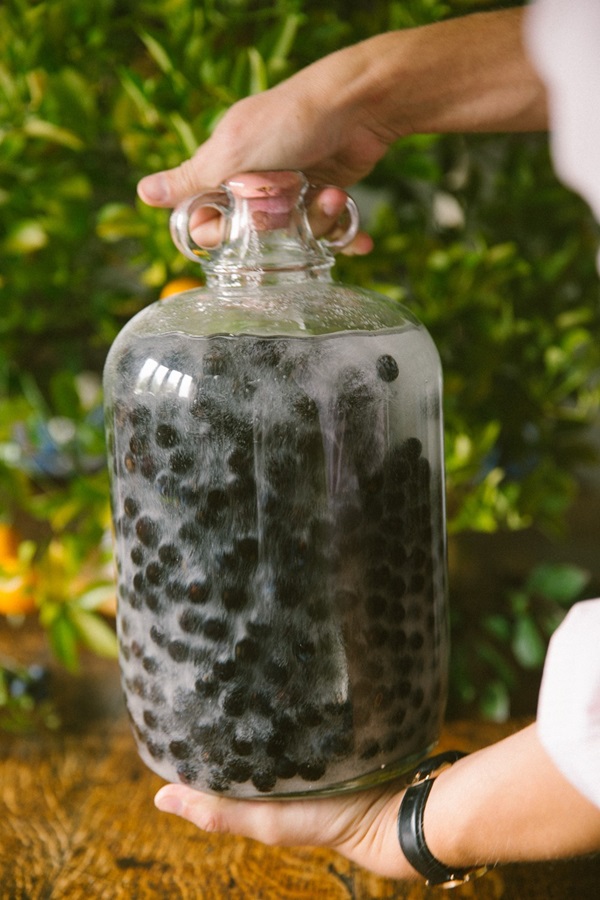 Hjemmelaget vin fra chokeberry