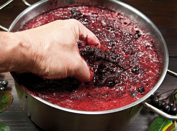 Hjemmelaget vin fra chokeberry