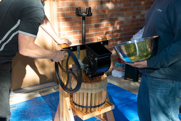 Hjemmelaget vin fra epler
