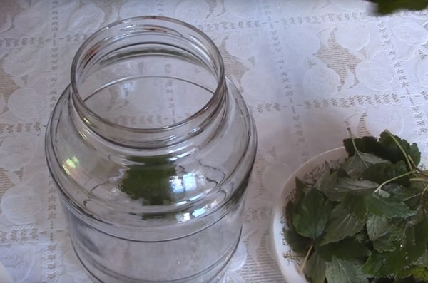 Epler til vinteren i bankene - billets og oppskrifter - gjennomvåt og kiler, kompott, syltetøy, kakebiter. Hvordan holde epler om vinteren hjemme