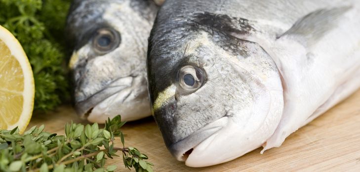 Hjem hermetisert fisk