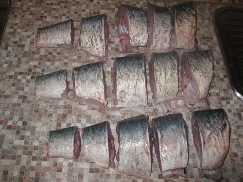 Hjem hermetisert fisk
