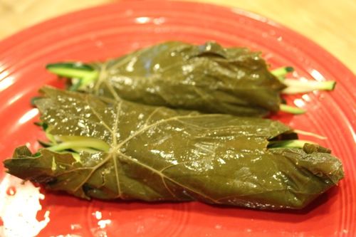 Oppskriften på høsting av drueblad for dolma Hvordan å plukke vintreet blader for dolma