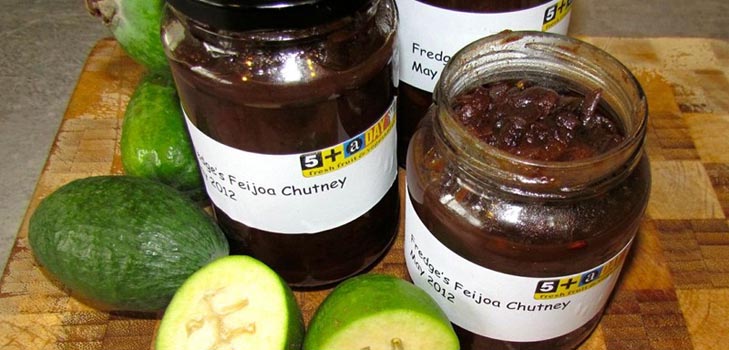 Blanks fra feijoa for vinteren, de beste oppskriftene med et bilde