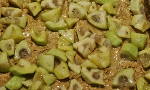 Blanks fra feijoa for vinteren, de beste oppskriftene med et bilde