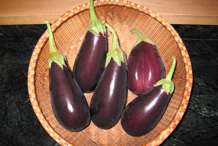 Frosset aubergine for vinteren hjemme - hvordan fryses riktig