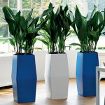 Interiør fytodesign Interiør fytodesign