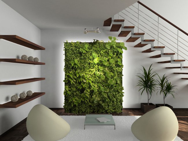 Interiør fytodesign