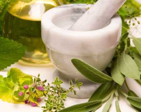 Astragalus: terapeutiske egenskaper, foto, applikasjon