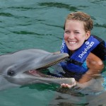 Delfin terapi: bading med delfiner