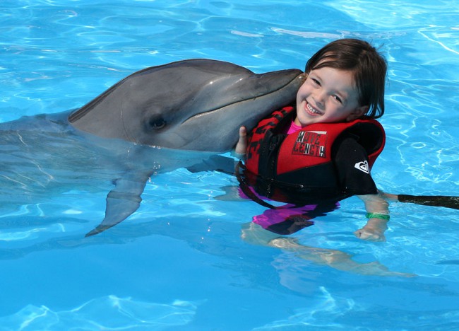 Delfin terapi: bading med delfiner