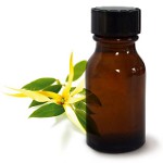 Essential Oil Ylang Ylang Essential Oil Ylang Ylang