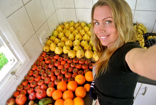 Hvordan bli veganer. 9 trinn til et sunt kosthold