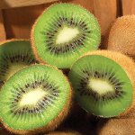 Kiwi diett for vekttap