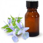Patchouli olje og dens fordelaktige egenskaper Patchouli olje og dens fordelaktige egenskaper