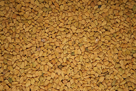 Fenugreek - hva er det? Nyttige egenskaper fenegreek (med bilde)
