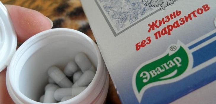 Et antiparasittisk legemiddel er Troychchatka Evalar. Komposisjon. Instruksjoner. anmeldelser